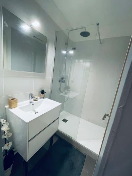 Appartement En Centre Ville, Wifi Et Tram Montpellier Buitenkant foto